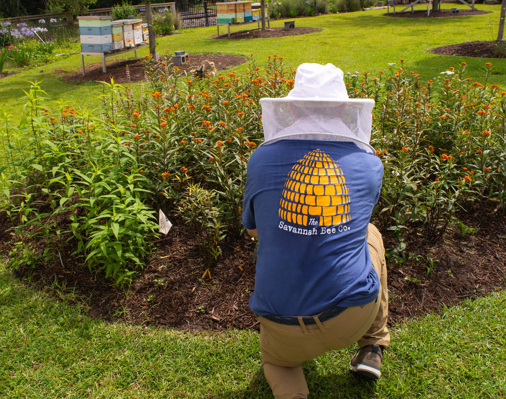 Bee Skep Tee