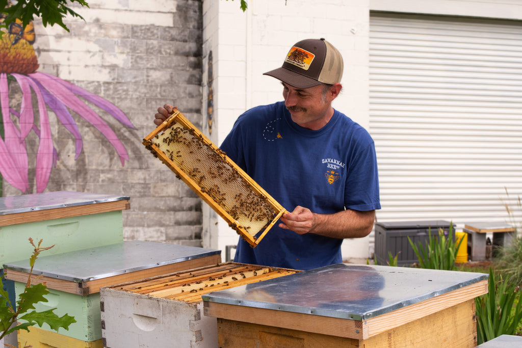 Bee Skep Tee