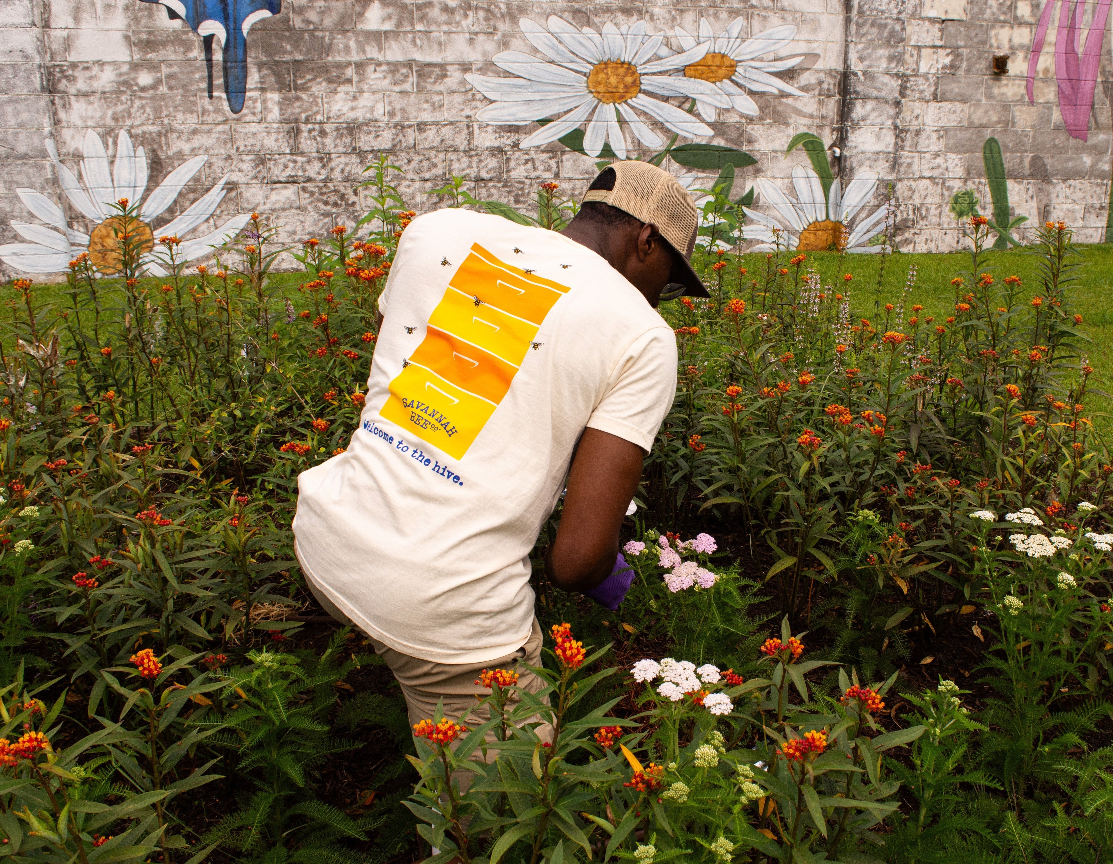 Busy Bee Box Tee